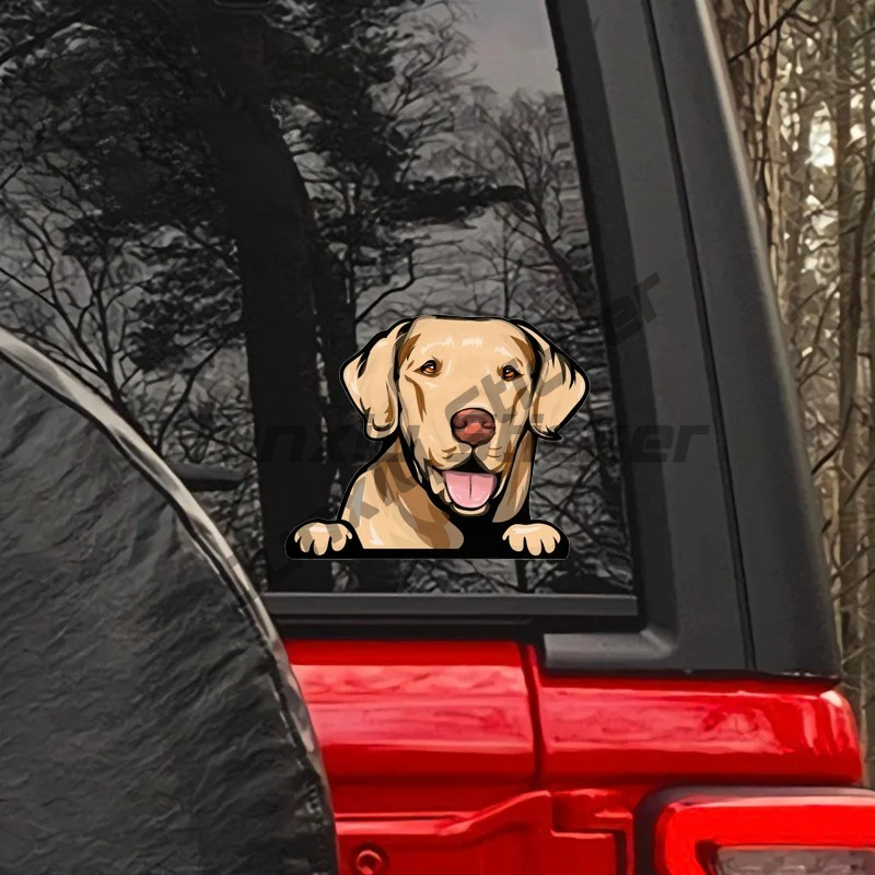Labrador Retriever Peeker Car  - Yellow Laptop Accessories ulasan dan harga